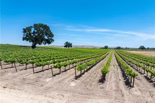 5275 Camp 8 Rd, Paso Robles, CA 93446 - Photo 25