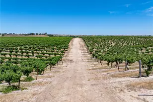 5275 Camp 8 Rd, Paso Robles, CA 93446 - Photo 17