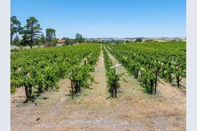 175 White Hawk, Templeton, CA 93465 - Photo 15
