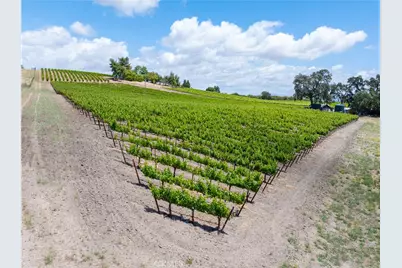1618 Kiler Canyon, Paso Robles, CA 93446 - Photo 55