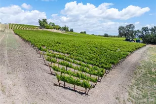 1618 Kiler Canyon, Paso Robles, CA 93446 - Photo 55