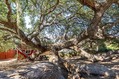 676 Red Cloud, Paso Robles, CA 93446 - Photo 45