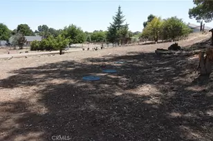 7950 Blue Moon Rd, Paso Robles, CA 93446 - Photo 15