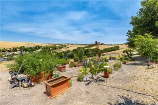 2045 Vista De La Vina, Templeton, CA 93465 - Photo 65