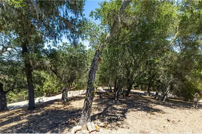 7905 San Gregorio Road, Atascadero, CA 93422 - Photo 31