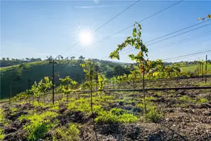 550 Villa Lots Rd, Paso Robles, CA 93446 - Photo 25