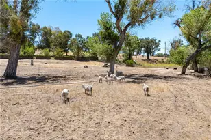 5750 El Pharo, Paso Robles, CA 93446 - Photo 49