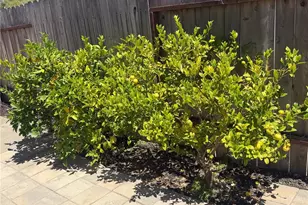 148 Galaxy, Vandenberg Village, CA 93436 - Photo 41