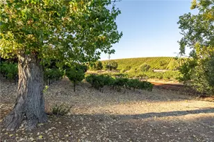 2925 Anderson Rd, Paso Robles, CA 93446 - Photo 61