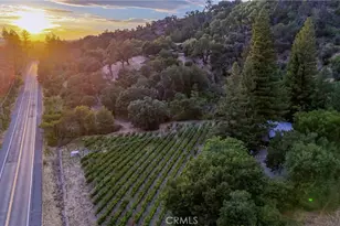 3588 Silverado, St. Helena, CA 94574 - Photo 67