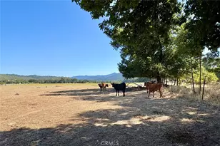 49460 Sapaque Rd, Bradley, CA 93426 - Photo 41
