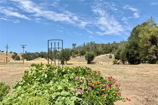 49460 Sapaque Rd, Bradley, CA 93426 - Photo 35