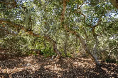 1210 Bayview Heights Drive, Los Osos, CA 93402 - Photo 13