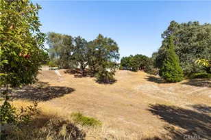 22 Arroyo, Paso Robles, CA 93446 - Photo 29