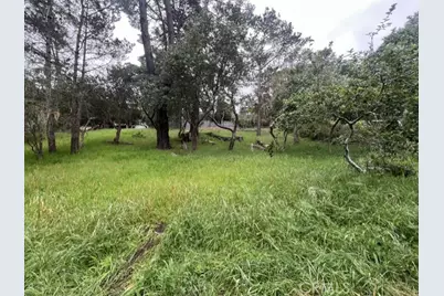 0 Mills, Cambria, CA 93428 - Photo 5