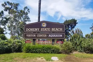 2869 Doheny Way, Dana Point, CA 92629 - Photo 57