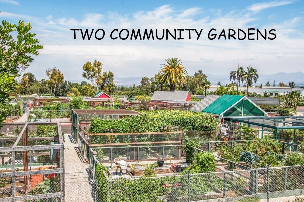 969 Calle Aragon, Laguna Beach CA  92637-3575 exterior