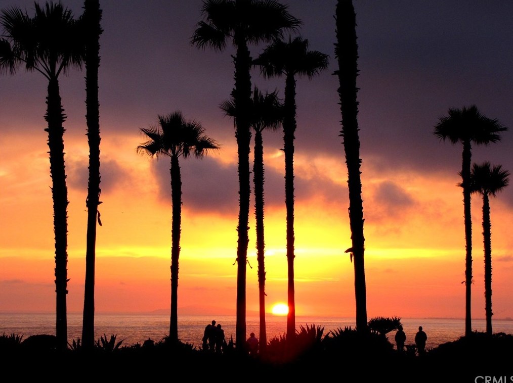 206 Avenida Majorca, Laguna Beach CA  92637-4159 exterior