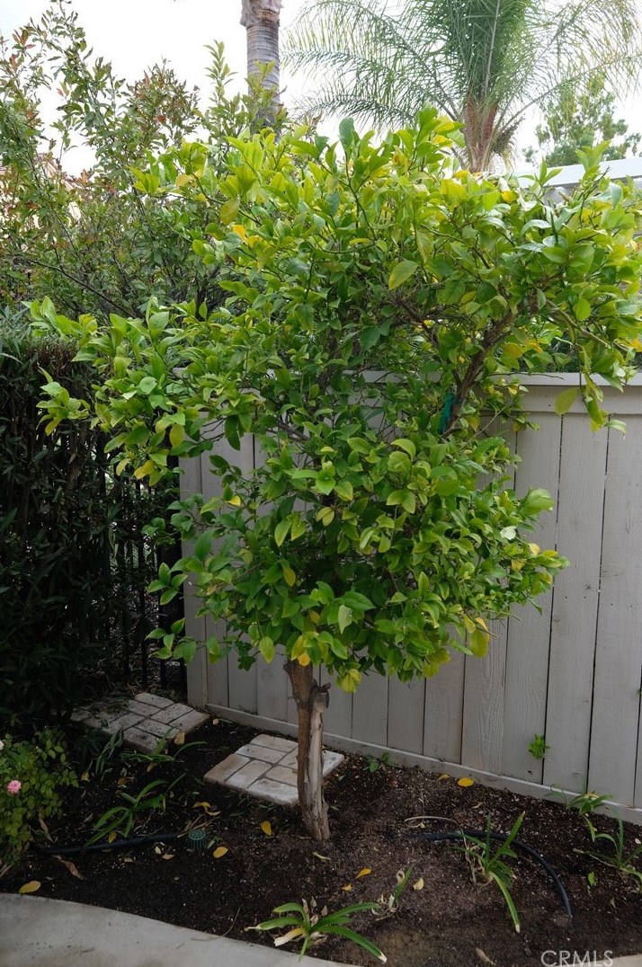 23794 Via Compadres, Murrieta CA 92562-5545 exterior