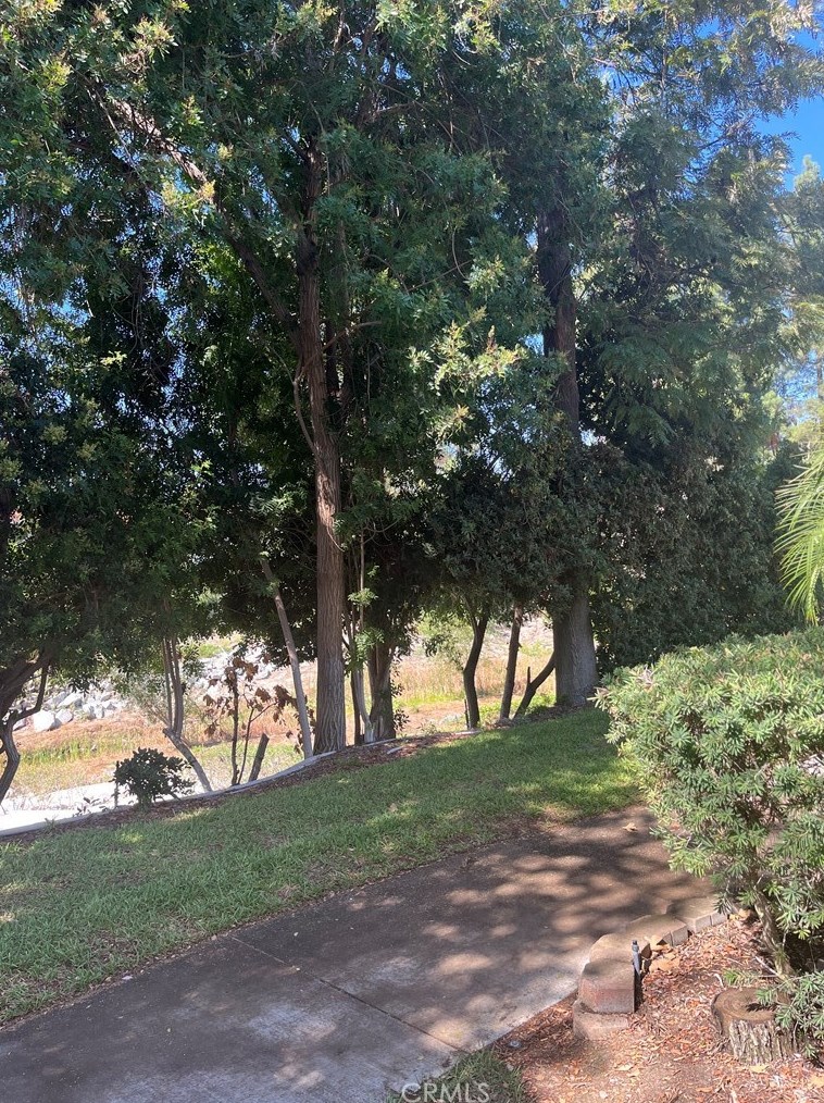 911 Ronda Sevilla, Laguna Beach CA  92637-4728 exterior