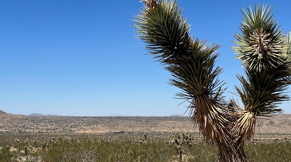 7586 Olympic Rd, Joshua Tree CA  92252-2956 exterior