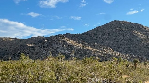 7586 Olympic Rd, Joshua Tree CA  92252-2956 exterior