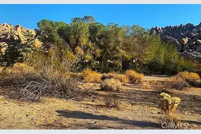 66058 Foothill Drive, Joshua Tree, CA 92252 - Photo 11