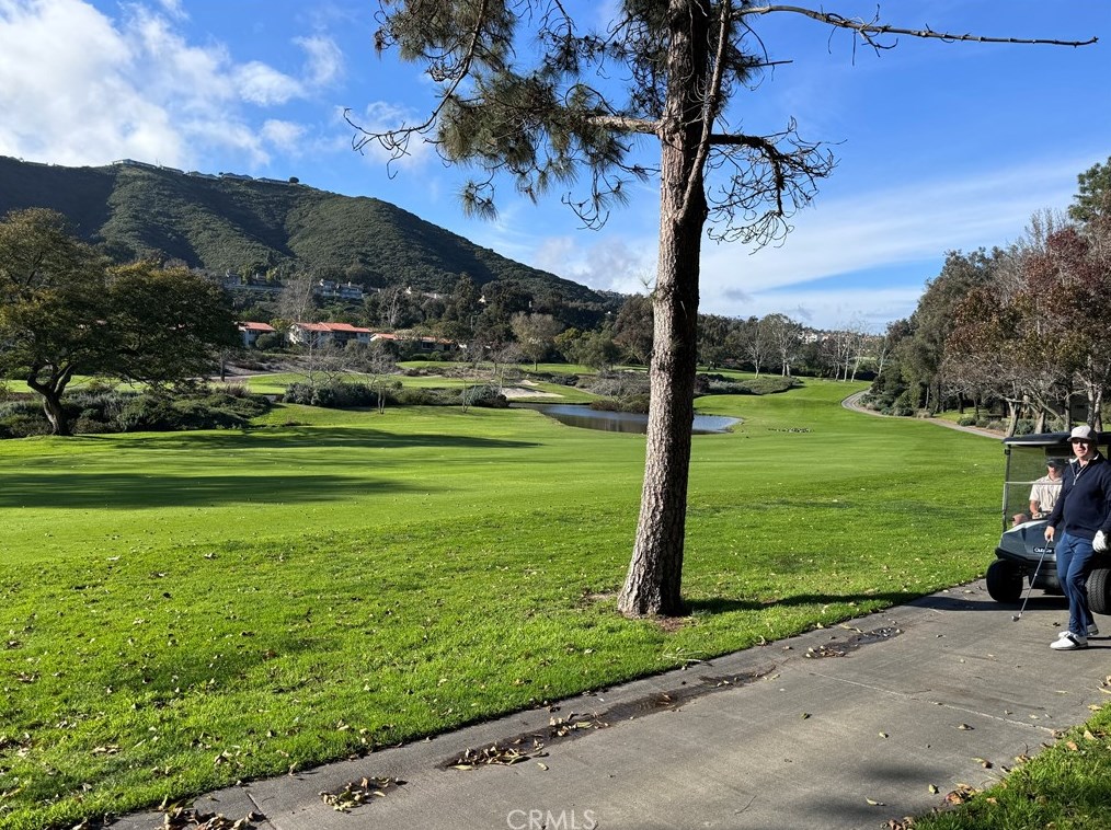 31441 Nine Dr, Laguna Beach CA  92677-2911 exterior