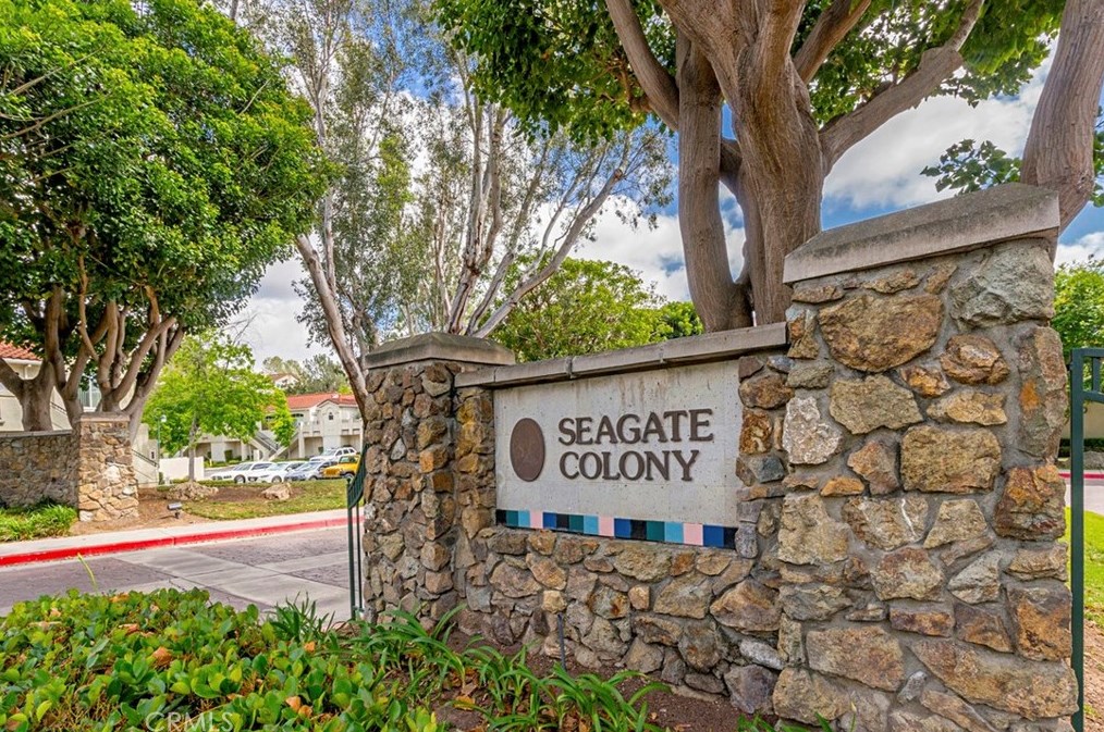 224 Cinnamon Teal, Laguna Beach CA  92656-1832 exterior