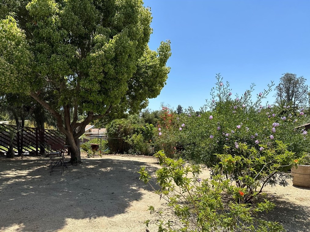 914 Main Ave, Fallbrook CA  92028-1519 exterior