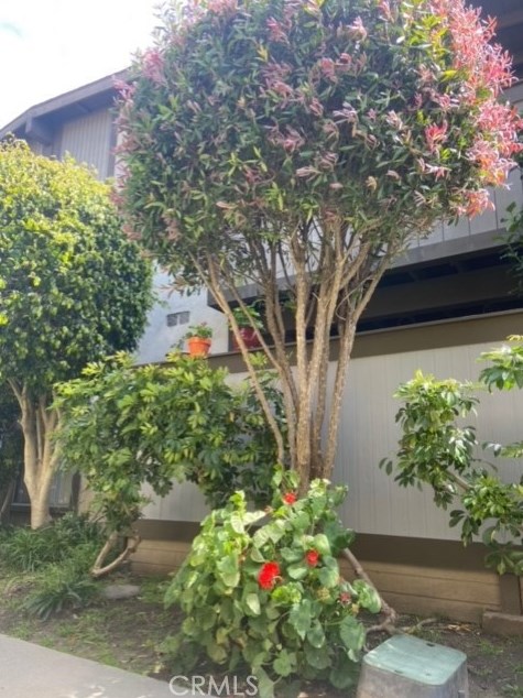 23304 Sesame St, Torrance CA  90502-3067 exterior