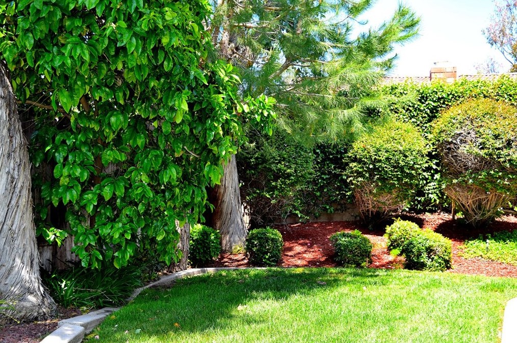 10 Revere, Irvine CA  92620-2544 exterior