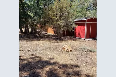 864 San Bernardino Avenue, Sugarloaf, CA 92386 - Photo 5