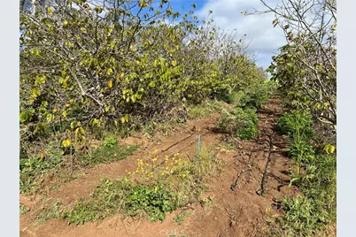 2205 Bautista Avenue, Vista, CA 92084 - Photo 21