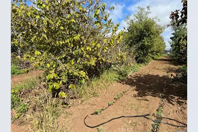 2205 Bautista Avenue, Vista, CA 92084 - Photo 17