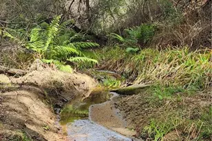 36000 Tenaja Truck Trail, Lake Elsinore, CA 92530 - Photo 27