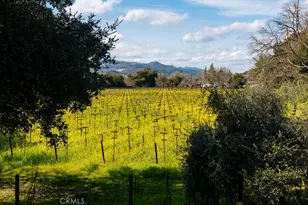 1001 Silverado Trail S, St. Helena, CA 94574 - Photo 31