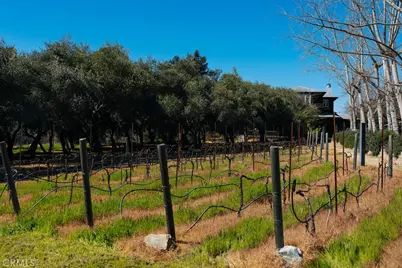 1001 Silverado Trail South, St. Helena, CA 94574 - Photo 63