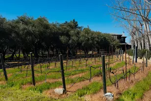 1001 Silverado Trail S, St. Helena, CA 94574 - Photo 63