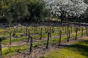 1001 Silverado Trail S, St. Helena, CA 94574 - Photo 69