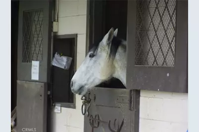 3271 San Amadeo #P, Laguna Woods, CA 92637 - Photo 53