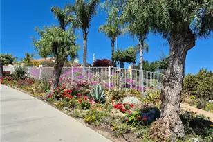 37305 Calle De Lobo, Murrieta, CA 92562 - Photo 11