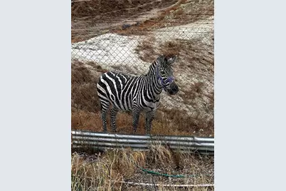 300 Anderson Drive, Hemet, CA 92544 - Photo 53