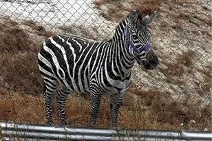 300 Anderson Dr, Hemet, CA 92544 - Photo 53