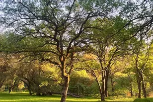 11363 Shadow Ln, Browns Valley, CA 95918 - Photo 7