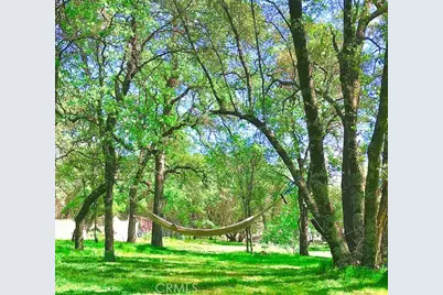 11363 Shadow Lane, Browns Valley, CA 95918 - Photo 39