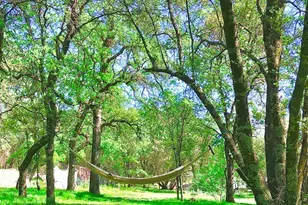 11363 Shadow Ln, Browns Valley, CA 95918 - Photo 39