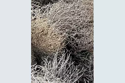 80 Avenue H, Lancaster, CA 93535 - Photo 37