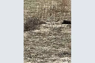 80 Avenue H, Lancaster, CA 93535 - Photo 41