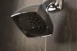 317 S Flower St, Santa Ana, CA 92703 - Photo 11